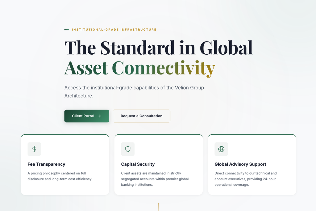 VelionGroup-LTD